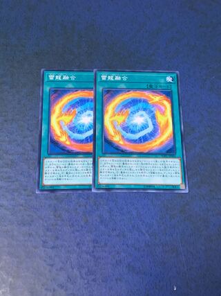 雷龍融合 ノーマル