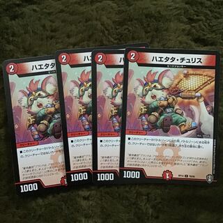 ハエタタ・チュリス4枚