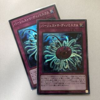 バージェストマディノミスクス　シク・スーパー