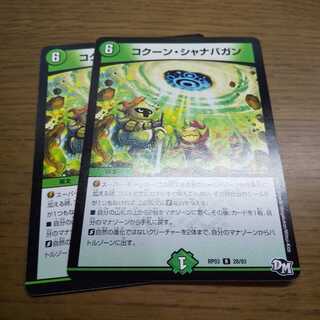 コクーン・シャナバガン