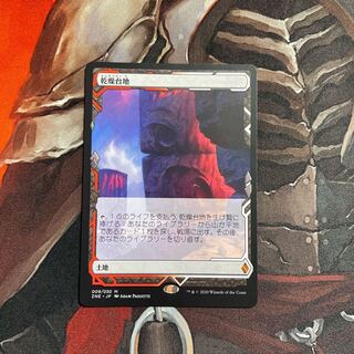 【杏仁豆腐様専用】乾燥台地 ボックストッパー 日本語版