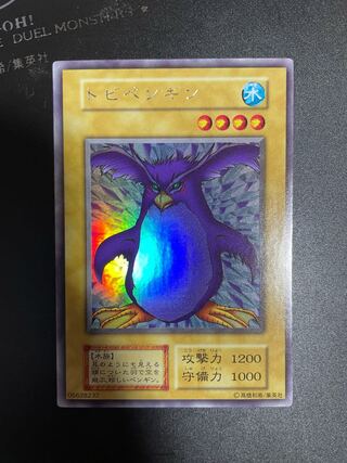 SH様 専用  トビペンギン