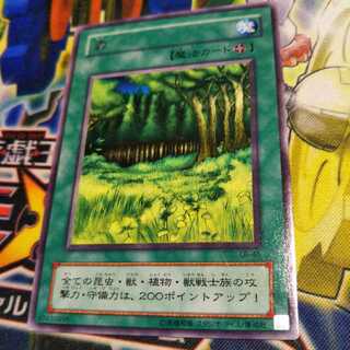 遊戯王　森　字レア