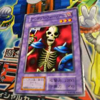 Yu-Gi-Oh! Undead Warrior