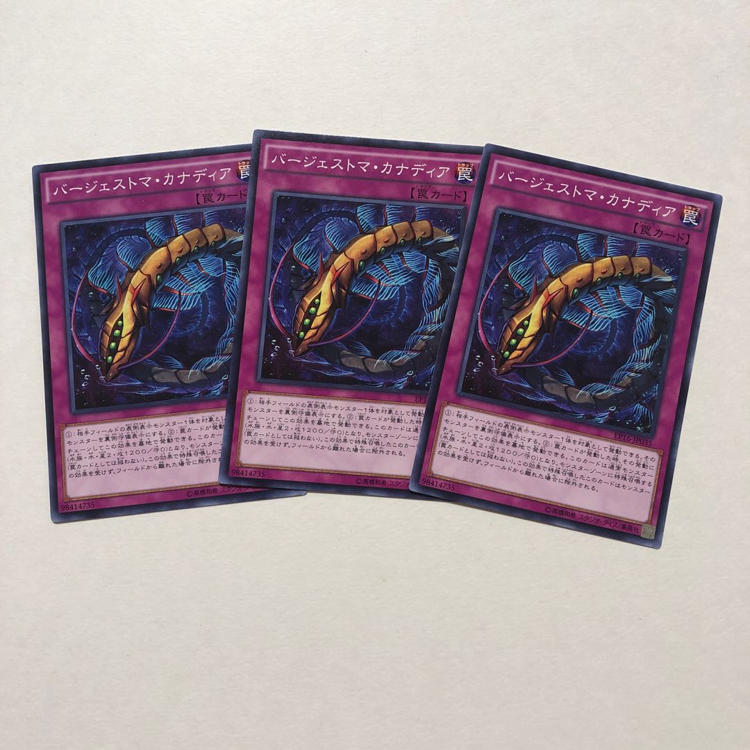 バージェストマ・カナディア ノーマル