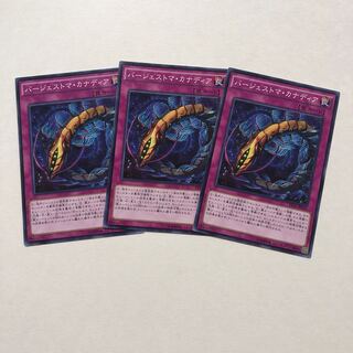 バージェストマ・カナディア ノーマル