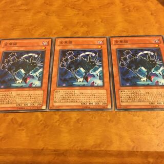 金華猫 ノーマル