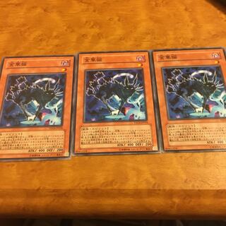 金華猫 ノーマル