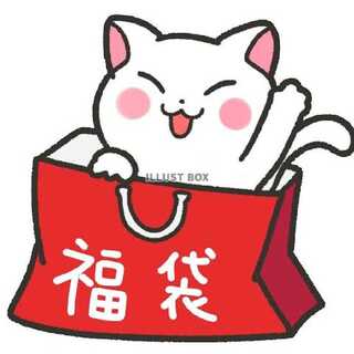 キャンセル出ました！約12000円アド袋 1枚