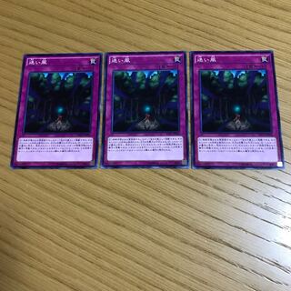 迷い風 ノーマル　3枚セット