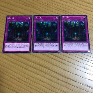 迷い風 ノーマル　3枚セット