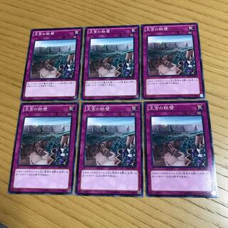 王宮の鉄壁 ノーマル　6枚セット