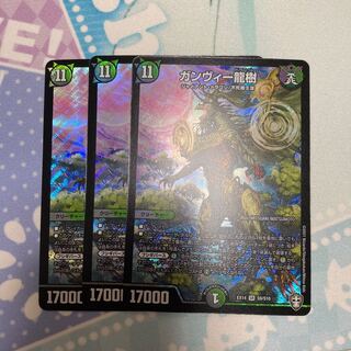 ガンヴィー龍樹