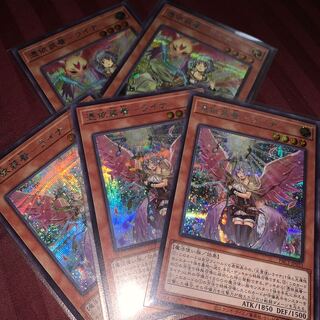 憑依装着-ライナ（イラスト違い版&通常版） シークレットレア　５枚セット