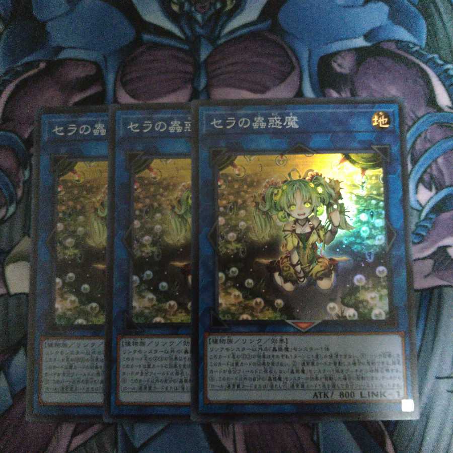 セラの蟲惑魔 SR 3枚セット 3枚
