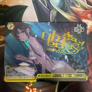 今夜は一緒に ssp