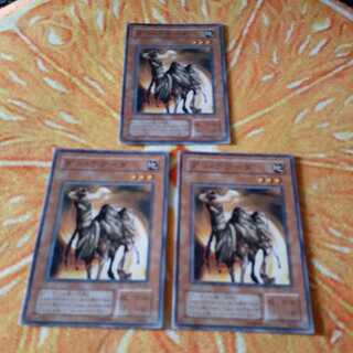 デス・ラクーダ