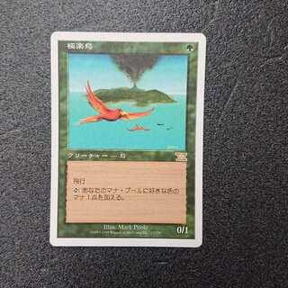 極楽鳥 mtg」の激安通販 | magi