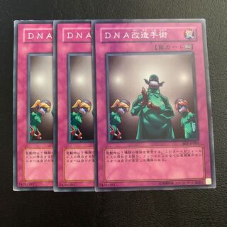 DNA改造手術 ノーマル