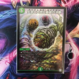 エイト様専用 生命と大地と轟破の決断