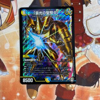 「雷光の聖騎士」