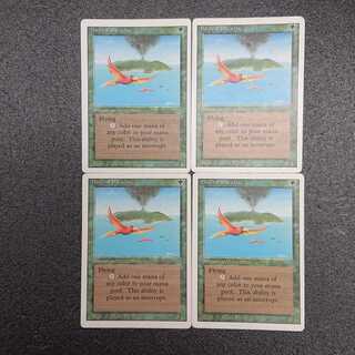 MTG 極楽鳥 英語版 Birds of Paradise 4枚セット Amazon.co.jp: MTG 極楽鳥Birds of Paradis 英語版 旧枠 foil