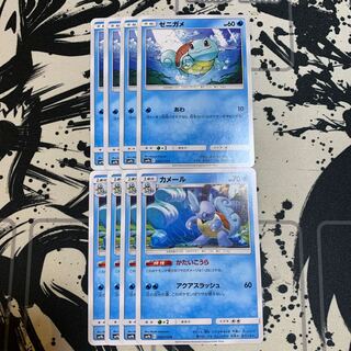 ゼニガメ　カメール