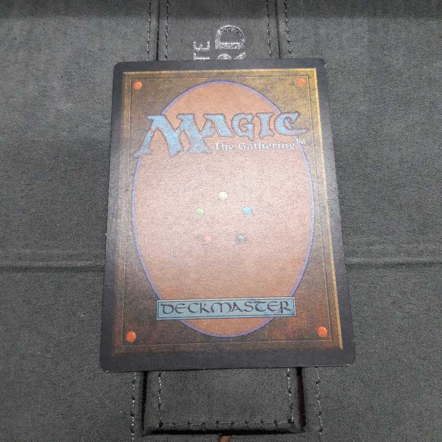 ライオンの瞳のダイアモンド　厳かなモノリス　英語　専用