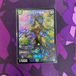 ガンヴィー龍樹