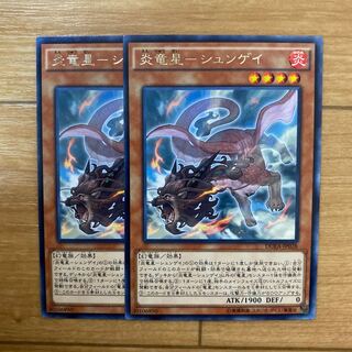 炎竜星-シュンゲイ レア