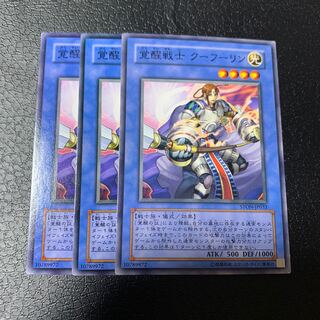 覚醒戦士 クーフーリン ノーマル