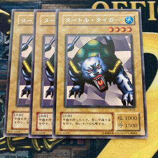 マドレース1631タートル・タイガー レア2期