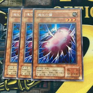 マドレース1635進化の繭 レア2期