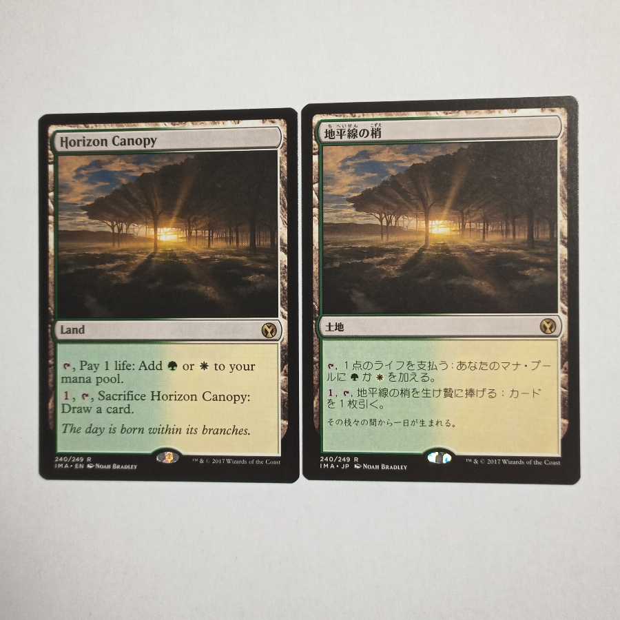 MTG　地平線の梢/Horizon Canopy　在庫2枚