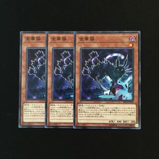 g259 金華猫 3枚セット 遊戯王 トレトレ