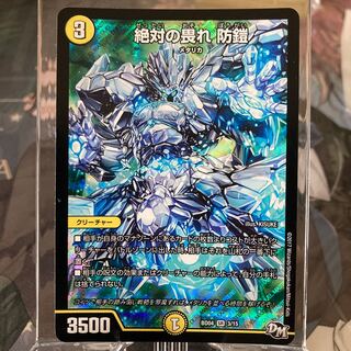 絶対の畏れ 防鎧 SR