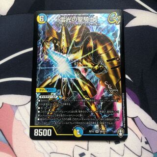 「雷光の聖騎士」