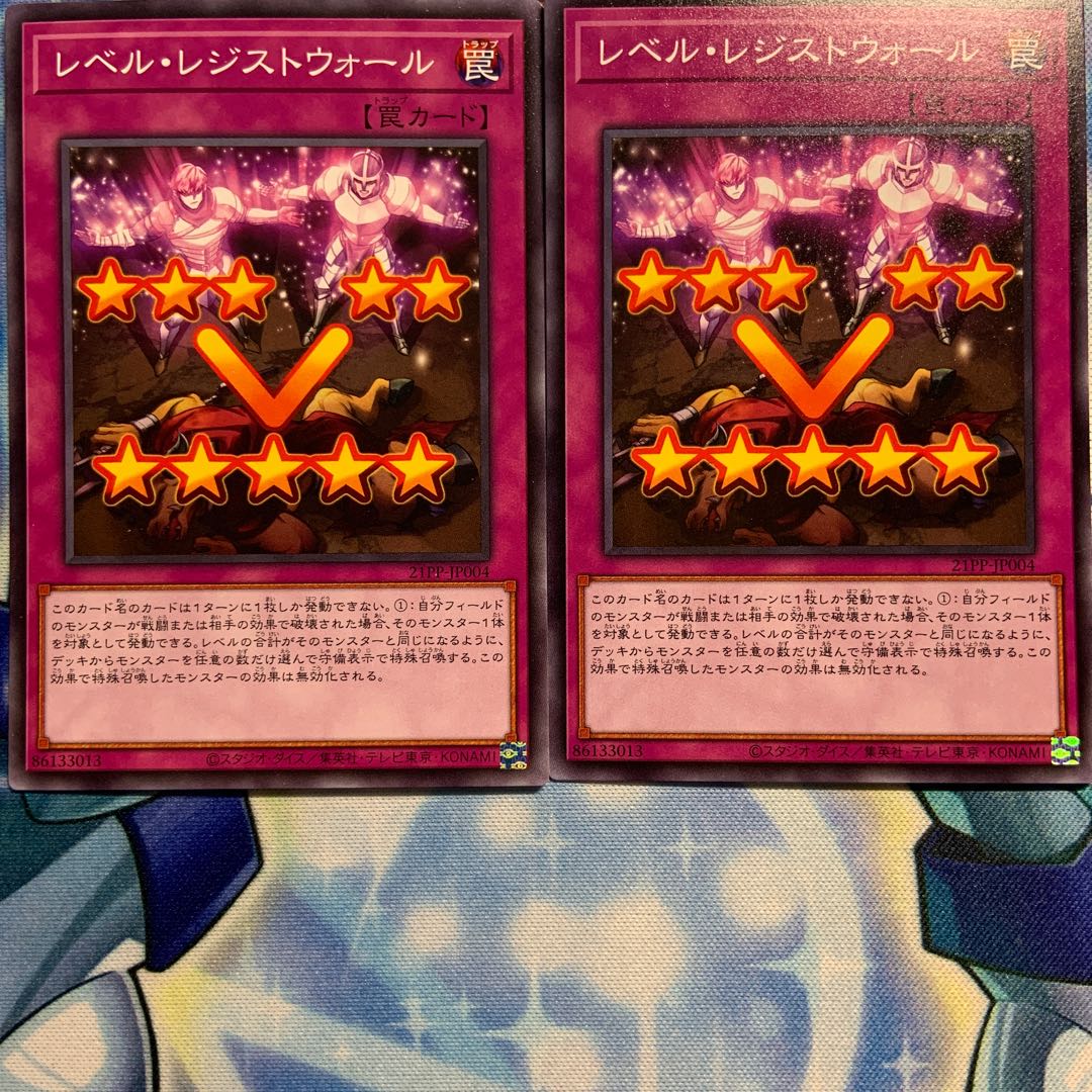 【N】レベル・レジストウォール 2枚 21PP-JP004