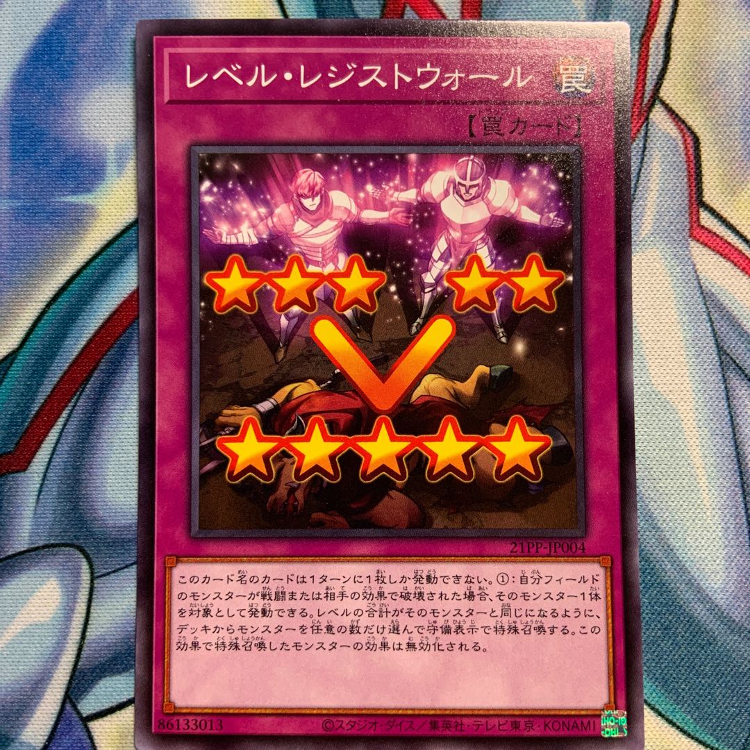 【N】レベル・レジストウォール 2枚 21PP-JP004