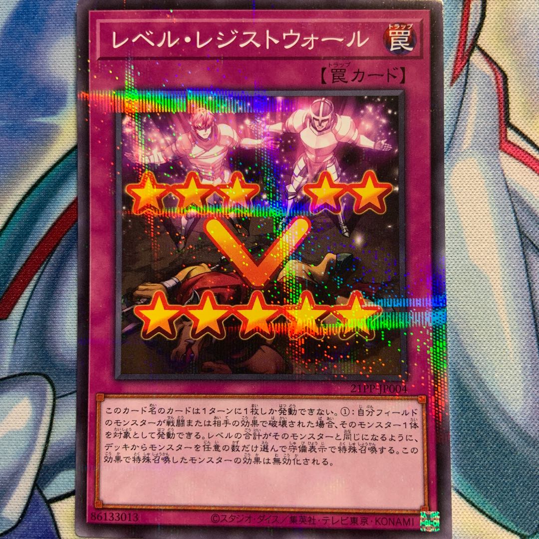 【P】レベル・レジストウォール 1枚 21PP-JP004