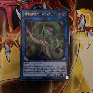 捕食植物ヴェルテ・アナコンダ ウルトラレア LVP3-JP071