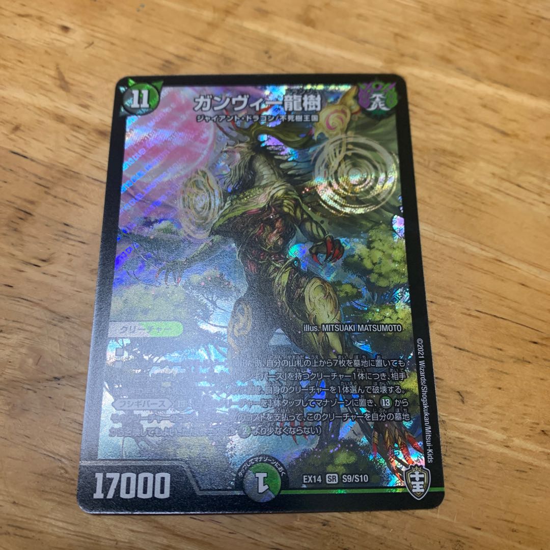 ガンヴィー龍樹