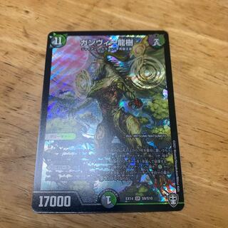 ガンヴィー龍樹