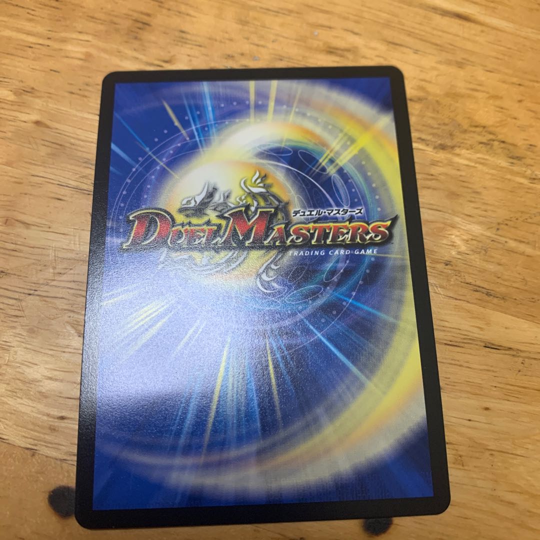 ガンヴィー龍樹