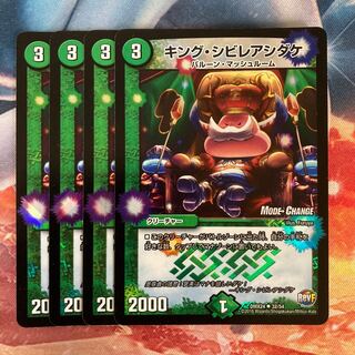 キング・シビレアシダケ