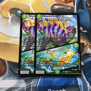 闘争類拳嘩目 ステゴロ・カイザー｜お清めシャラップ R