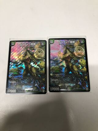 ガンヴィー龍樹2枚セット
