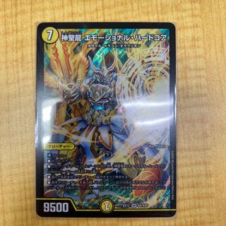 神聖龍 エモーショナル・ハードコア