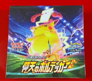 仰天のボルテッカー  1BOX