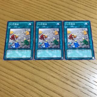 化石調査 ノーマル　3枚セット